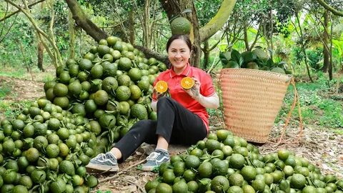'Chập trững' hay 'chập chững' mới đúng chính tả?