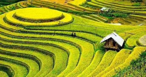 Vu khống cả nhà triệu phú ăn quỵt gây bạo lực mạng, nhà hàng trả giá đắt